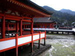 miyajima12.jpg