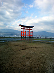 miyajima13.jpg