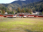 miyajima15.jpg