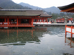 miyajima4.jpg