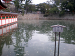 miyajima5.jpg