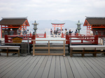 miyajima6.jpg