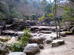 miyajima8.jpg