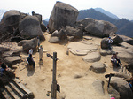 miyajima9.jpg